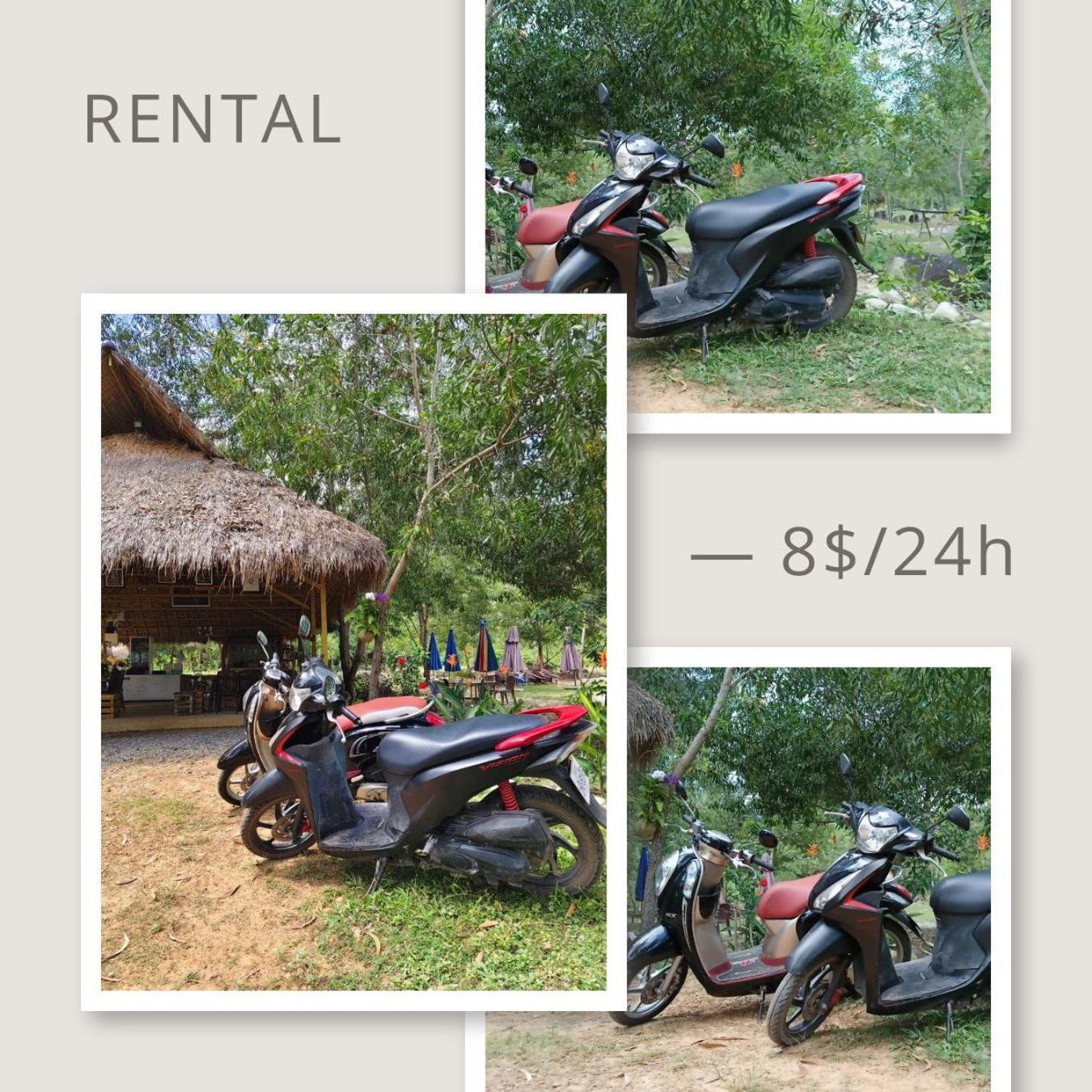Kampot Camping - Eco Retreat Eksteriør bilde